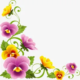 花框免抠