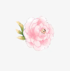 粉色文艺花朵绿叶免抠
