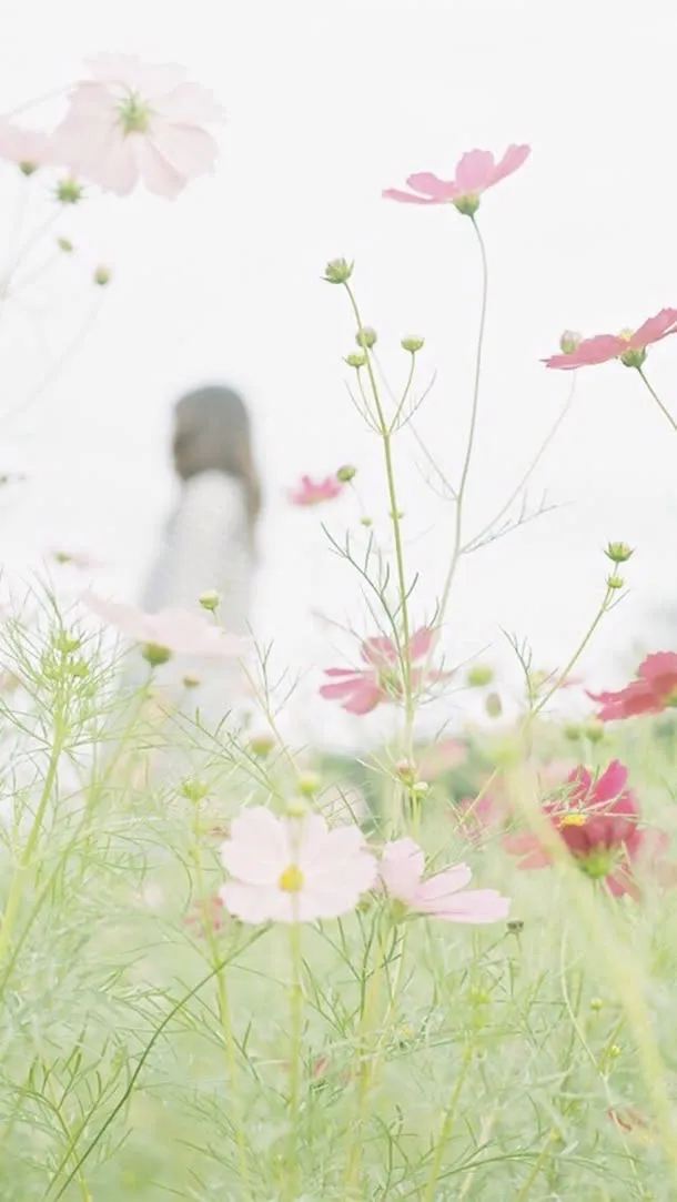唯美清新美女花朵免抠