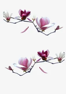 仿真花带树枝话免抠