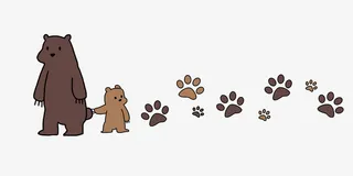 小熊分割线手绘插画免抠