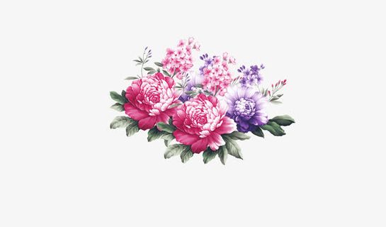中国风牡丹花免抠