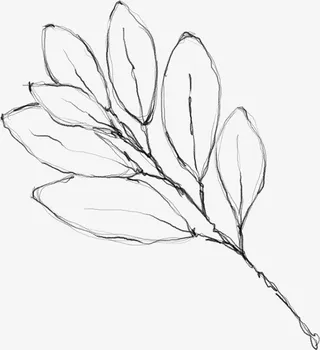 水墨花朵元素70免抠动植物植物元素