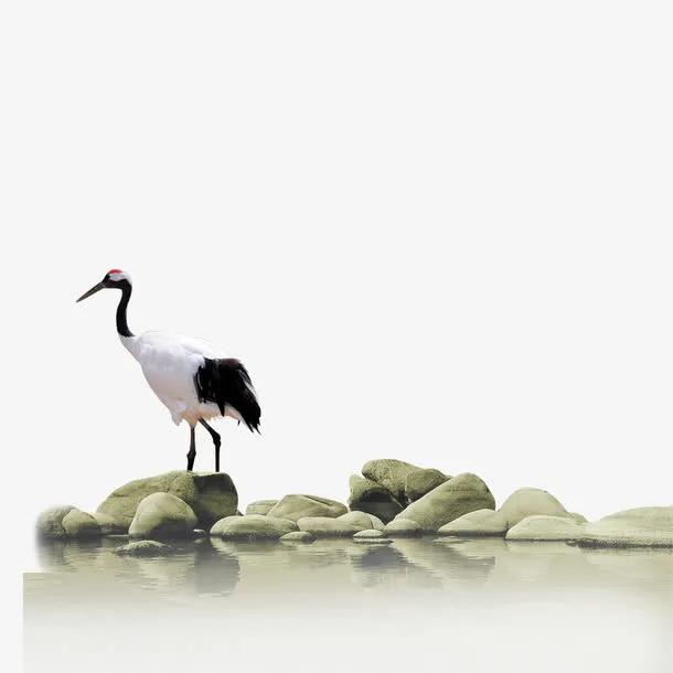 丹顶鹤免抠