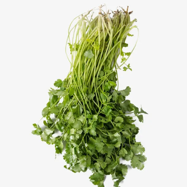 香菜免抠素材免抠