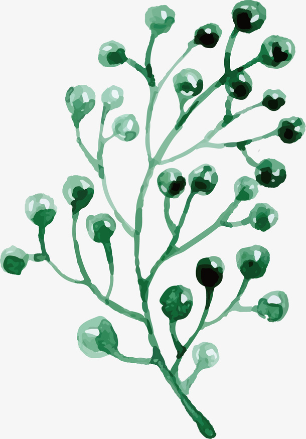 彩绘植物免抠