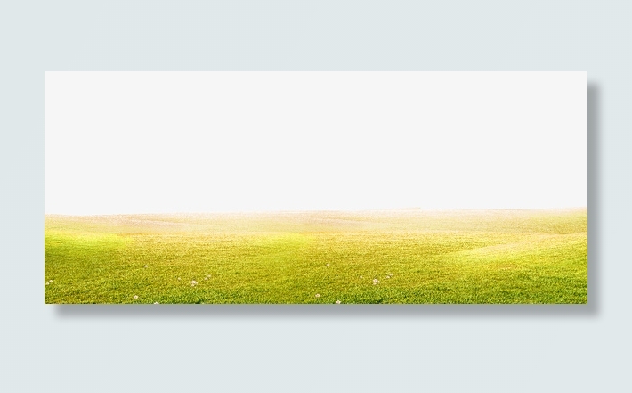 绿色清新草丛边框纹理免抠