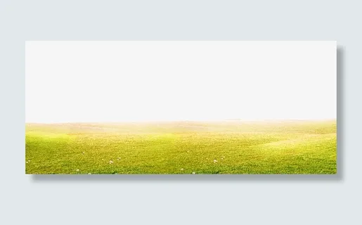 绿色清新草丛边框纹理免抠