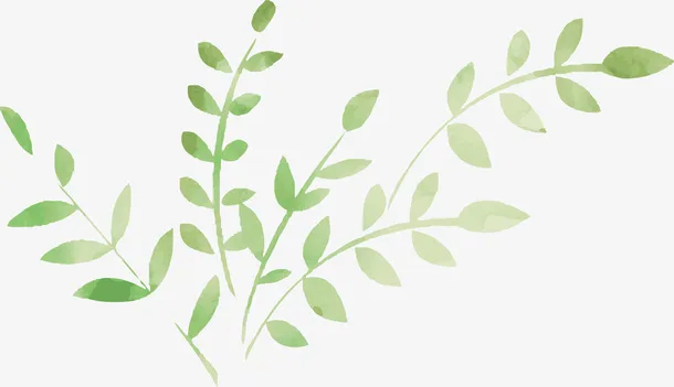 绿色手绘植物免抠