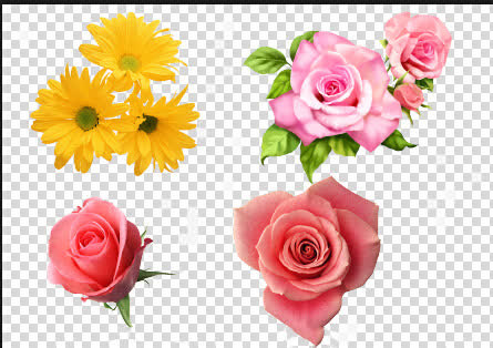 四色元素花免抠
