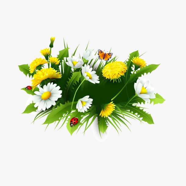 黄色小花免抠