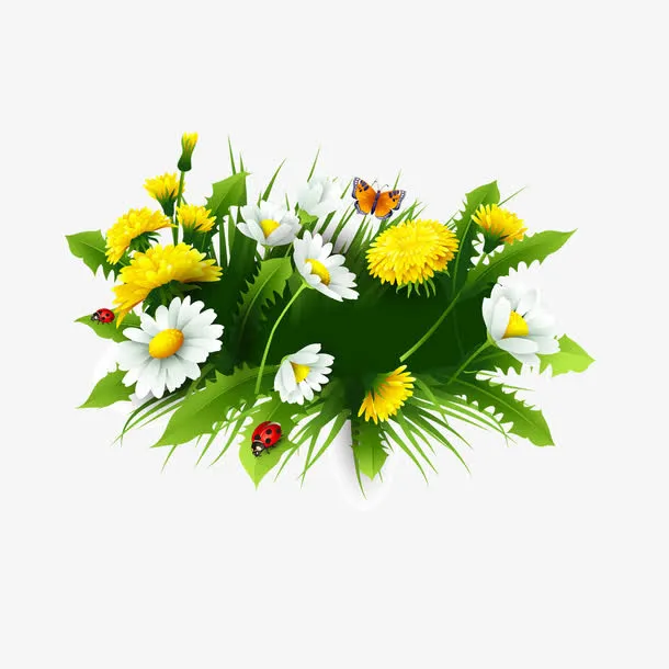 黄色小花免抠