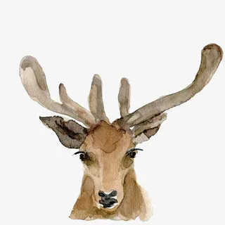 手绘水彩绘画动物麋鹿免抠