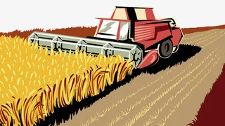 机械收割麦子免抠