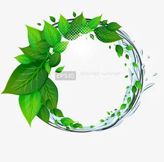 矢量圆形树叶边框免抠 矢量圆形树叶边框免抠