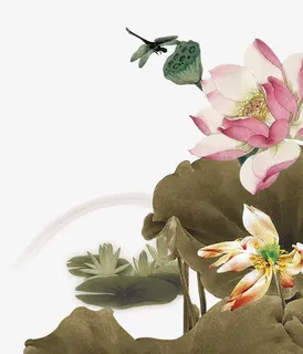 中国画荷花蜻蜓免抠