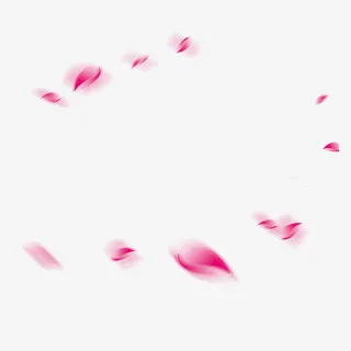 花瓣免抠