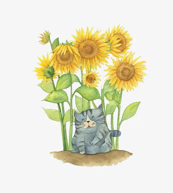 向日葵鲜花免抠