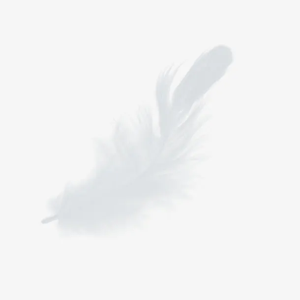 鸡毛免抠