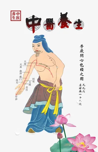 中医养生经络图免抠