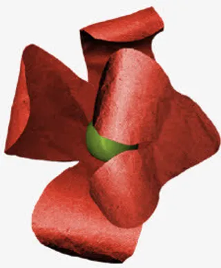 线条花纹素材线条边框素材免抠