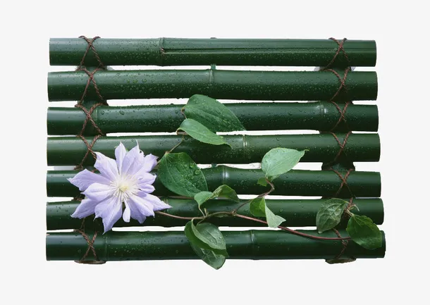 花朵竹排免抠
