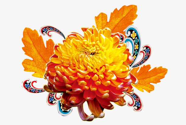 黄金花免抠