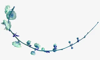 手绘绿叶藤蔓装饰免抠