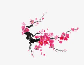 梅花免抠