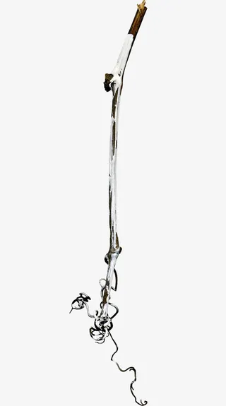 白树枝素材图片免抠