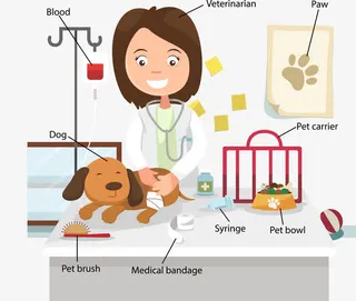 卡通兽医矢量图免抠