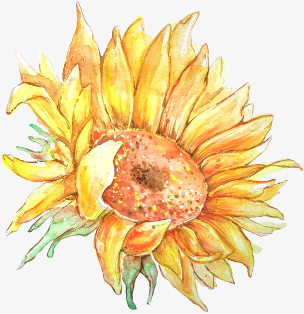 卡通手绘黄色向日葵免抠