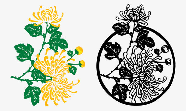 菊花免抠