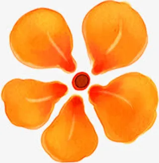 春天黄红色花朵装饰免抠