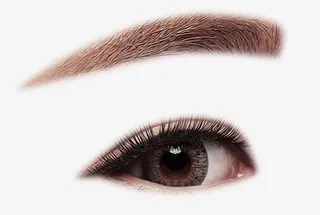 深色染眉眉毛效果免抠