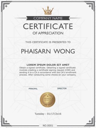 简单大气英文培训证书模板免抠