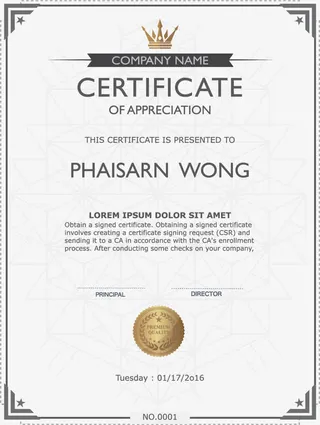 简单大气英文培训证书模板免抠