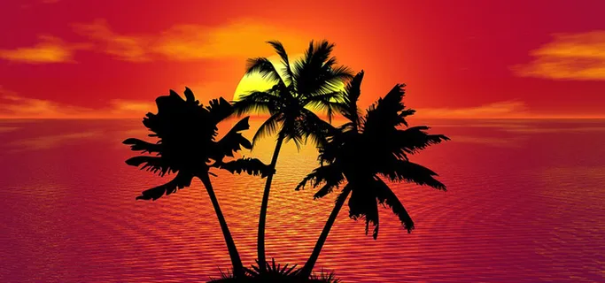 夕阳格外红背景图高清