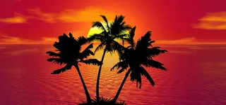 夕阳格外红背景图高清