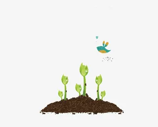 种子发芽成长免抠