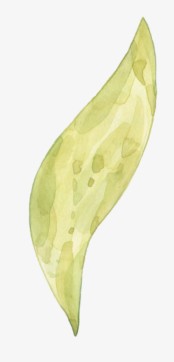 一片树叶免抠