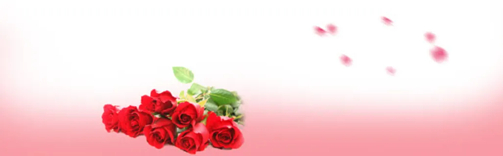 红色玫瑰花背景