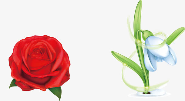 玫瑰花瓣堆免抠