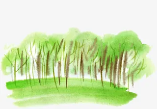 水彩树免抠