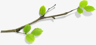 创意树枝创意手绘造型免抠