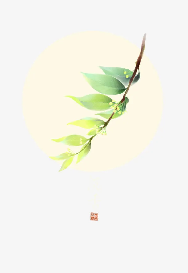 中药之沉香免抠