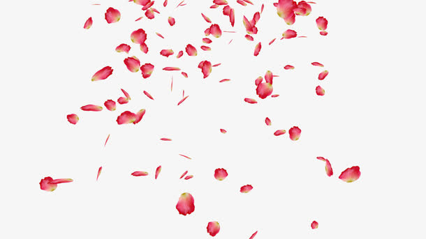 漂浮红色花瓣免抠