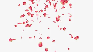 漂浮红色花瓣免抠