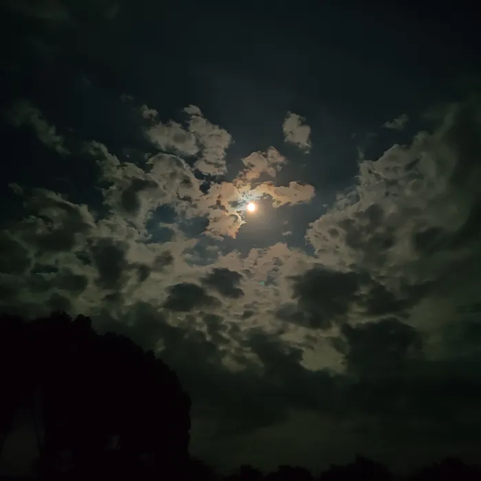 这个真的是夜晚的月亮啊高清