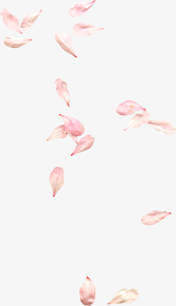 唯美花瓣清新素材免抠